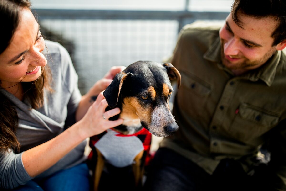 Two people meeting a dog at a shelter